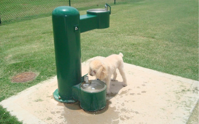 Dog Park - Water Stations
